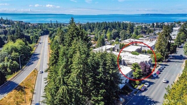 1130 5th Ave S Unit 103, Edmonds, WA 98020 - bird's eye view of a large body of water