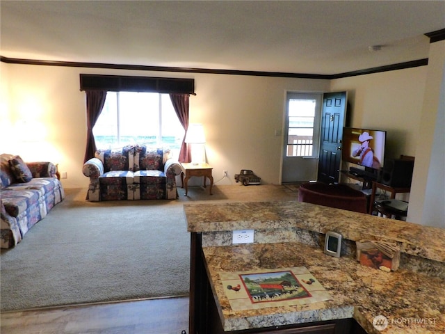 24919 Hoehn Rd Unit 65, Sedro Woolley, WA 98284 - carpeted living area with crown molding