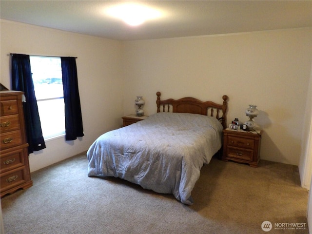24919 Hoehn Rd Unit 65, Sedro Woolley, WA 98284 - view of carpeted bedroom
