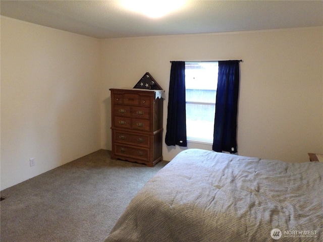 24919 Hoehn Rd Unit 65, Sedro Woolley, WA 98284 - view of carpeted bedroom