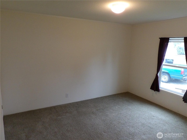 24919 Hoehn Rd Unit 65, Sedro Woolley, WA 98284 - empty room featuring carpet and plenty of natural light