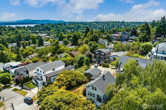 2407 E Ward St, Seattle, WA 98112 - photo 33