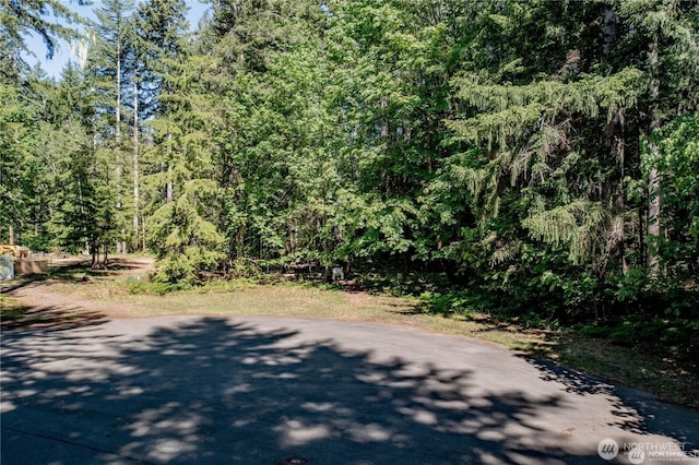 220 N Duckabush Dr W, Hoodsport, WA 98548 - photo 2
