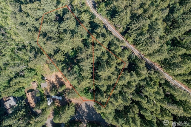 220 N Duckabush Dr W, Hoodsport, WA 98548 - photo 6