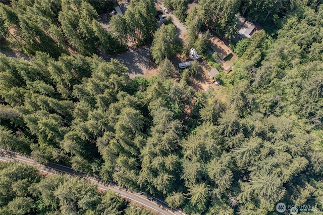 220 N Duckabush Dr W, Hoodsport, WA 98548 - photo 7