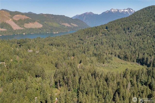 220 N Duckabush Dr W, Hoodsport, WA 98548 - photo 8