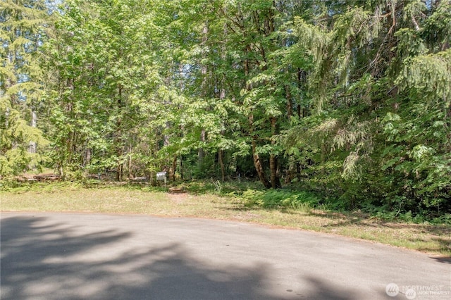 220 N Duckabush Dr W, Hoodsport, WA 98548 - photo 9