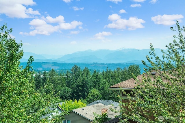 9127 Merritt Ave SE, Snoqualmie, WA 98065 - photo 27