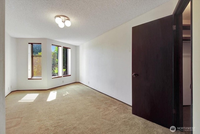 3630 252nd St NE, Arlington, WA 98223 - photo 23