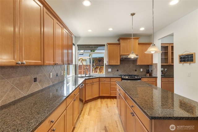 416 199th Pl SE, Bothell, WA 98012 - kitchen featuring under cabinet range hood, light wood-style floors, stainless steel appliances, recessed lighting, and tasteful backsplash