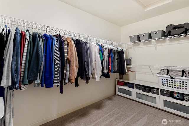 416 199th Pl SE, Bothell, WA 98012 - walk in closet with carpet floors and attic access