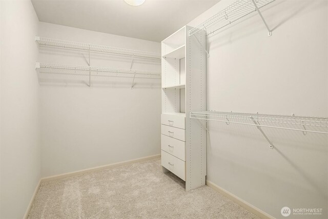 11710 157th Ave NE, Redmond, WA 98052 - photo 28