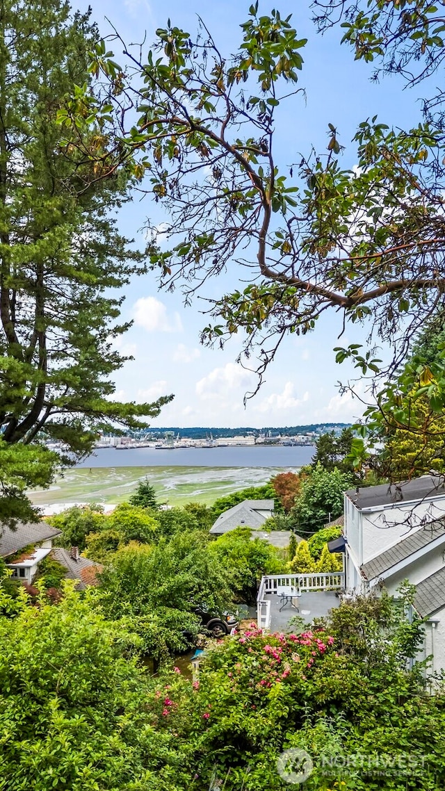 228 Farragut Ave, Port Orchard, WA 98366 - photo 27