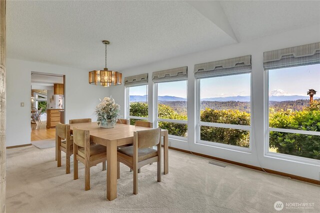 20219 SE 344th St, Auburn, WA 98092 - dining space with a chandelier, light colored carpet, a textured ceiling, and a mountain view