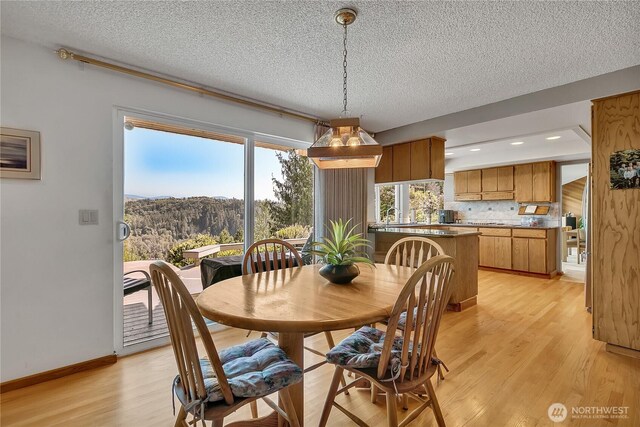 20219 SE 344th St, Auburn, WA 98092 - dining area featuring light wood-style flooring, a textured ceiling, and recessed lighting