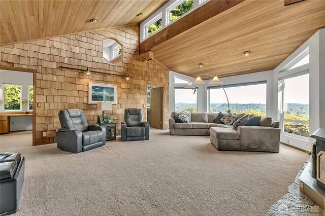 20219 SE 344th St, Auburn, WA 98092 - carpeted living room with wooden ceiling and high vaulted ceiling