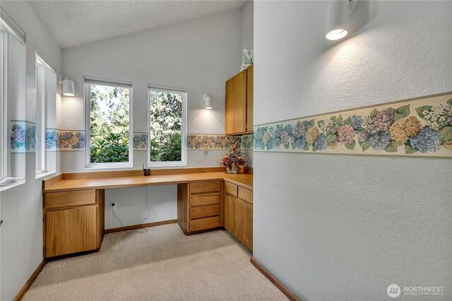 20219 SE 344th St, Auburn, WA 98092 - unfurnished office featuring built in study area, vaulted ceiling, light colored carpet, a textured ceiling, and a textured wall
