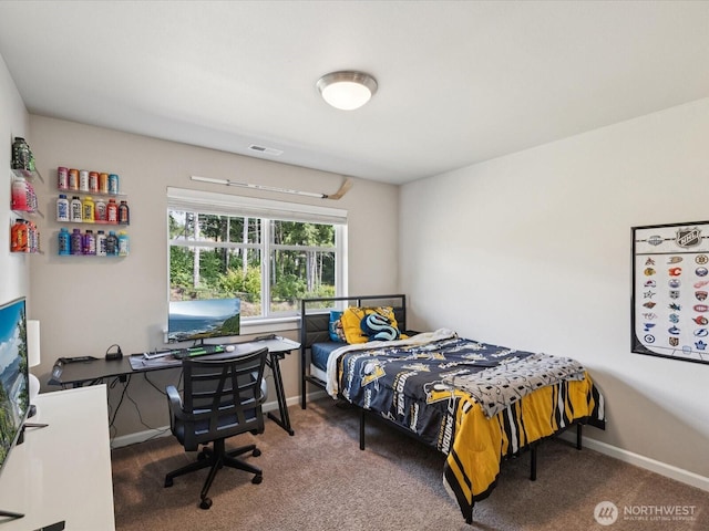 22714 22nd St NE, Snohomish, WA 98290 - photo 30