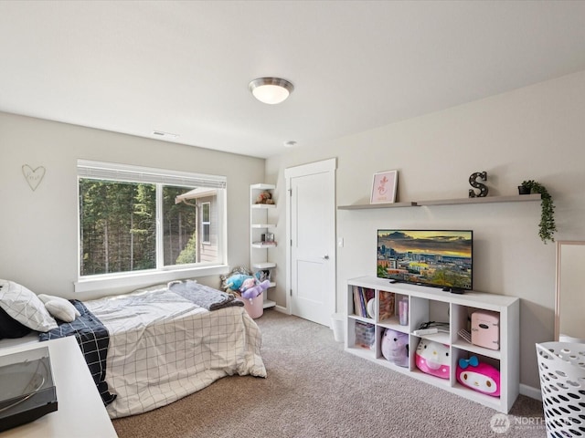 22714 22nd St NE, Snohomish, WA 98290 - photo 27