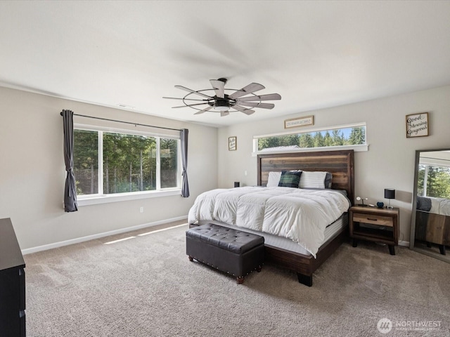 22714 22nd St NE, Snohomish, WA 98290 - photo 20