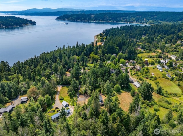 3634 Campbell St NE, Bainbridge Island, WA 98110 - bird's eye view of a forest and a water and mountain view
