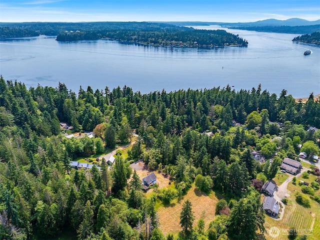 3634 Campbell St NE, Bainbridge Island, WA 98110 - aerial view of a nearby body of water and a forest