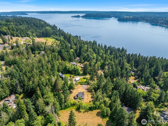 3634 Campbell St NE, Bainbridge Island, WA 98110 - aerial overview of property's location featuring a heavily wooded area and a nearby body of water