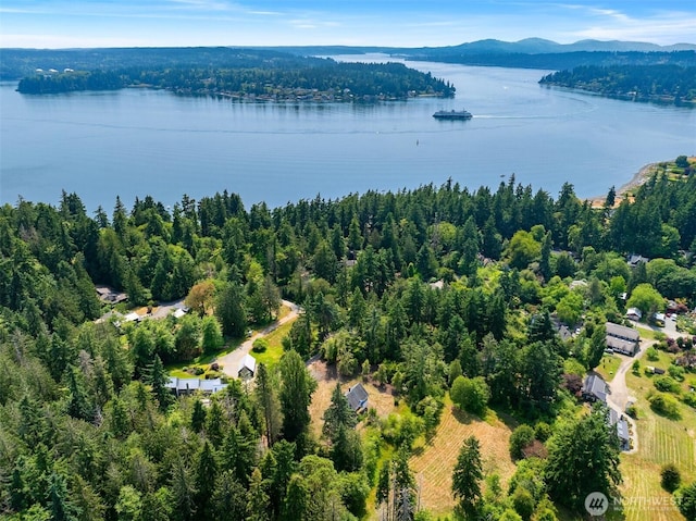 3634 Campbell St NE, Bainbridge Island, WA 98110 - aerial overview of property's location featuring a water and mountain view and a forest