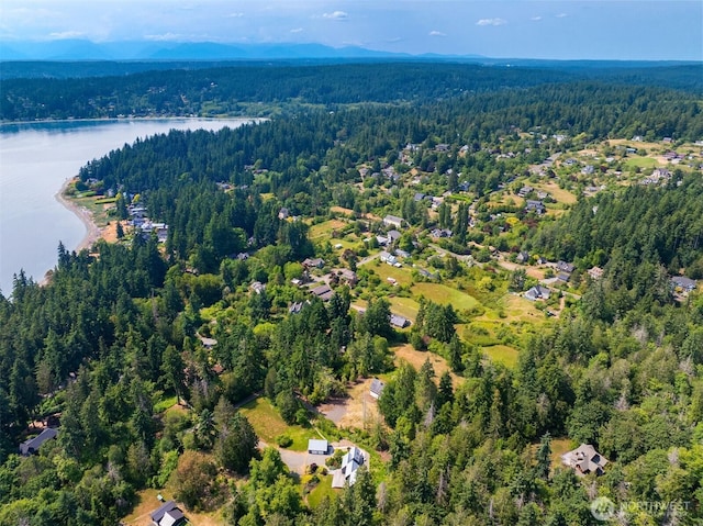 3634 Campbell St NE, Bainbridge Island, WA 98110 - aerial overview of property's location featuring a forest and a large body of water
