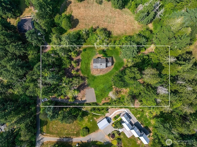 3634 Campbell St NE, Bainbridge Island, WA 98110 - aerial view of property's location with property parcel outlined