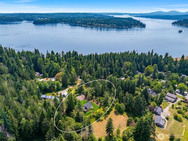 3634 Campbell St NE, Bainbridge Island, WA 98110 - drone / aerial view of a water and mountain view and a heavily wooded area