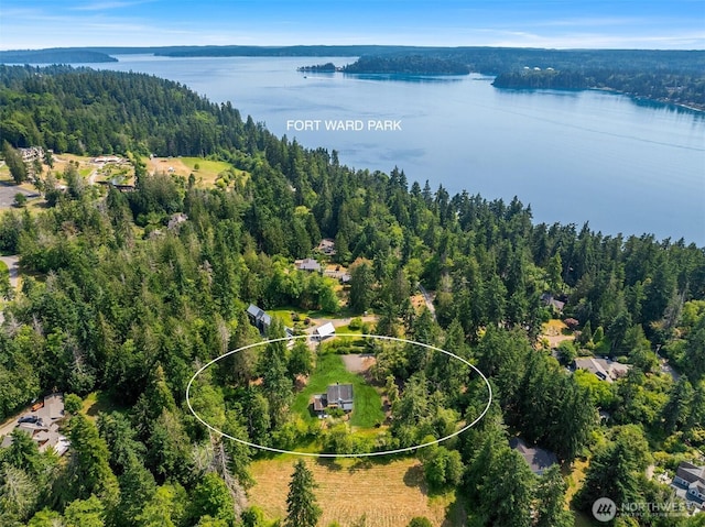 3634 Campbell St NE, Bainbridge Island, WA 98110 - aerial view of a forest and a large body of water