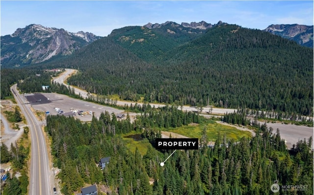 13 Snoqualmie Village Dr, Snoqualmie Pass, WA 98068 - photo 1