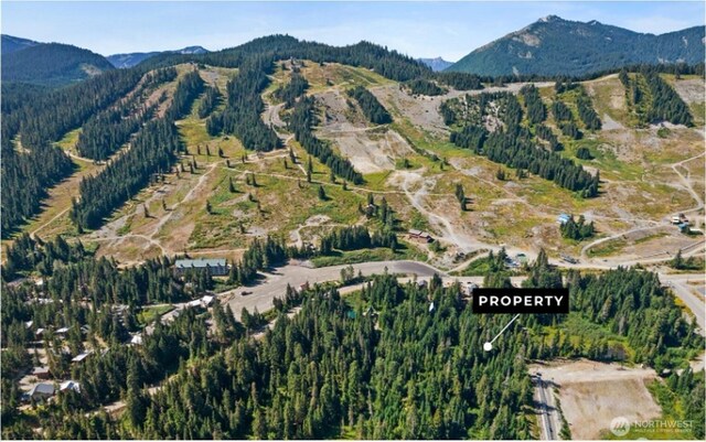 13 Snoqualmie Village Dr, Snoqualmie Pass, WA 98068 - photo 2