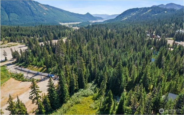 13 Snoqualmie Village Dr, Snoqualmie Pass, WA 98068 - photo 5