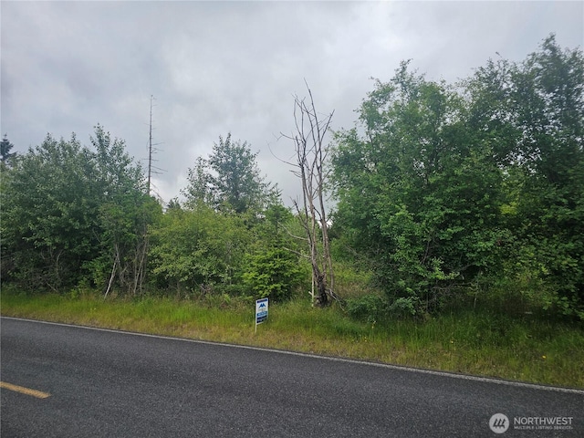 565 Oyler Rd, Ethel, WA 98542 - photo 6