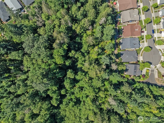 14714 Knoll Park Ct E, Bonney Lake, WA 98391 - photo 28