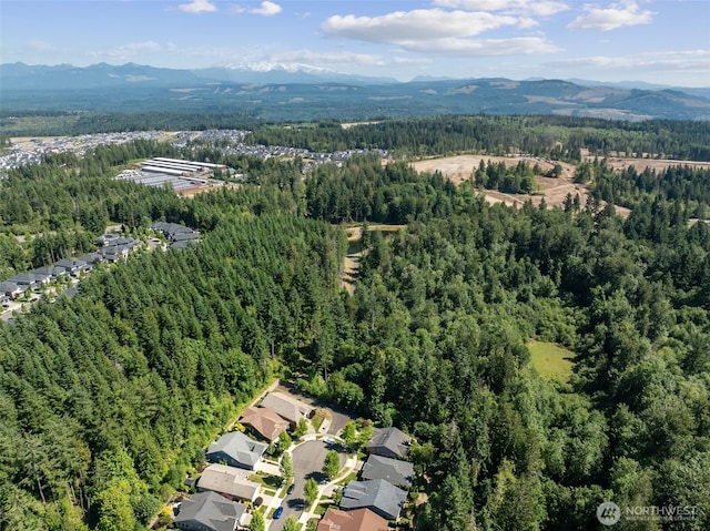 14714 Knoll Park Ct E, Bonney Lake, WA 98391 - photo 29