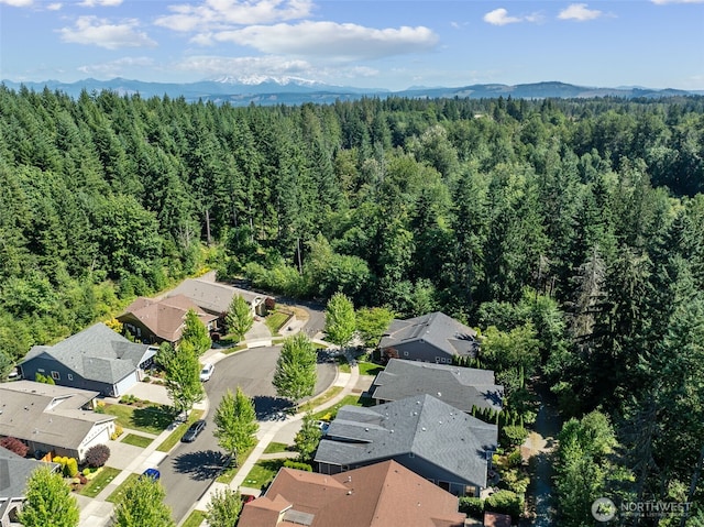 14714 Knoll Park Ct E, Bonney Lake, WA 98391 - photo 30
