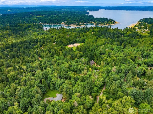 13909 Ellingsen Rd NE, Bainbridge Island, WA 98110 - photo 22