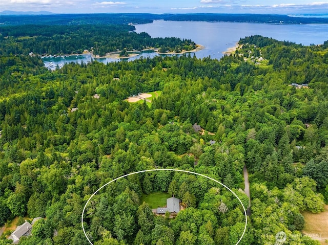 13909 Ellingsen Rd NE, Bainbridge Island, WA 98110 - photo 23