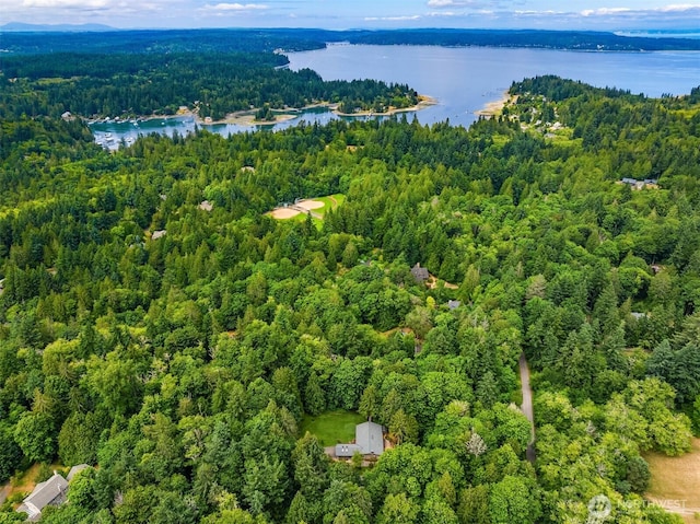 13909 Ellingsen Rd NE, Bainbridge Island, WA 98110 - photo 24