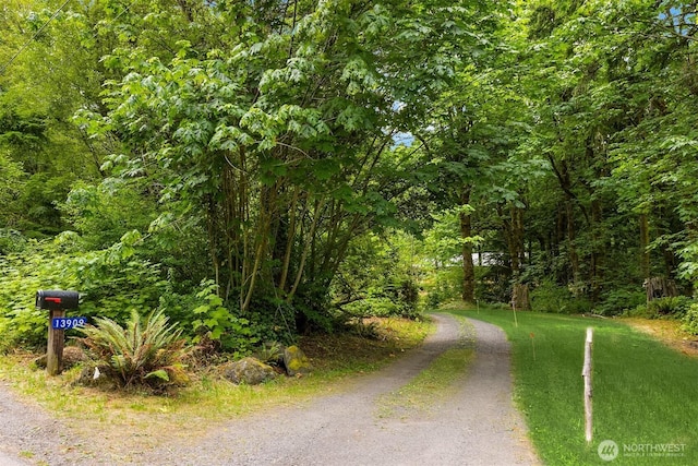 13909 Ellingsen Rd NE, Bainbridge Island, WA 98110 - photo 25