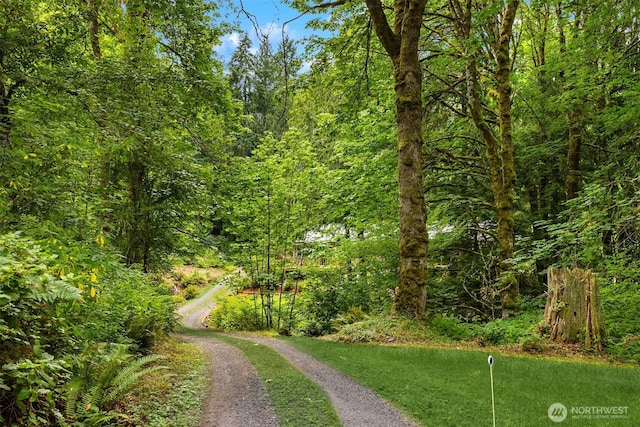 13909 Ellingsen Rd NE, Bainbridge Island, WA 98110 - photo 26