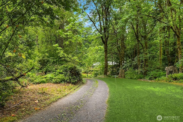 13909 Ellingsen Rd NE, Bainbridge Island, WA 98110 - photo 27