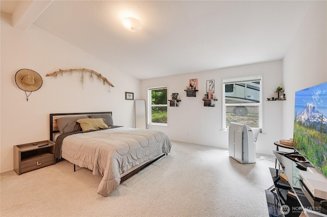 28818 NE Tolt Hill Rd, Carnation, WA 98014 - view of carpeted bedroom