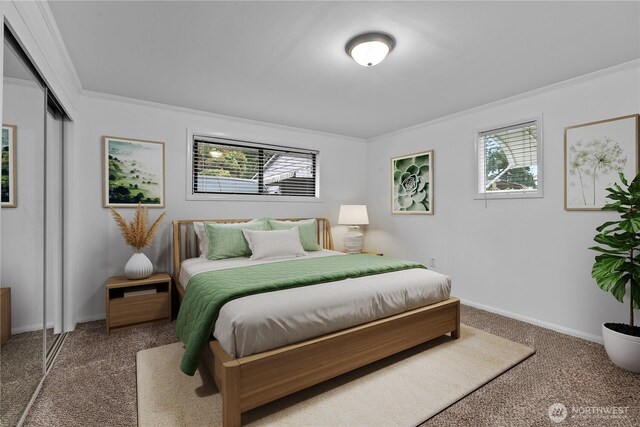7411 201st St SW, Lynnwood, WA 98036 - carpeted bedroom with ornamental molding, multiple windows, and a closet