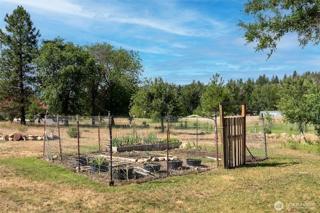 50 Lower Bear Creek Rd, Winthrop, WA 98862 - view of yard featuring a garden