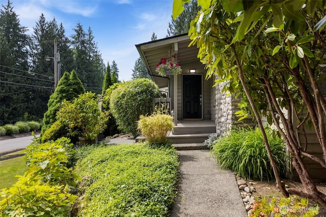 19555AVE NE 170th, Woodinville, WA 98072 - photo 4