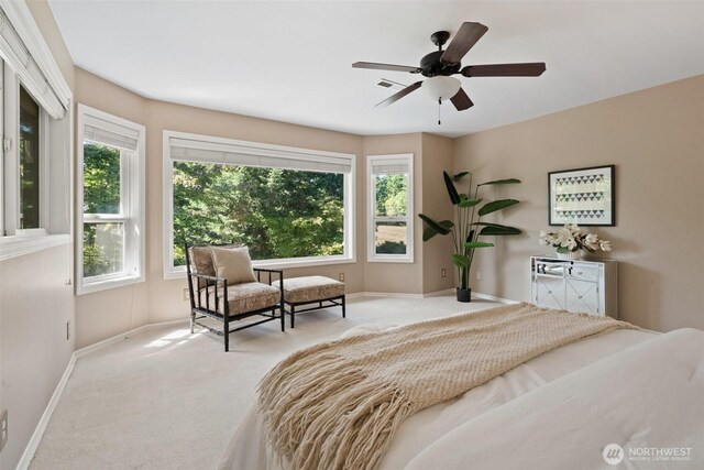 12411 Central Valley Rd NE, Poulsbo, WA 98370 - photo 28
